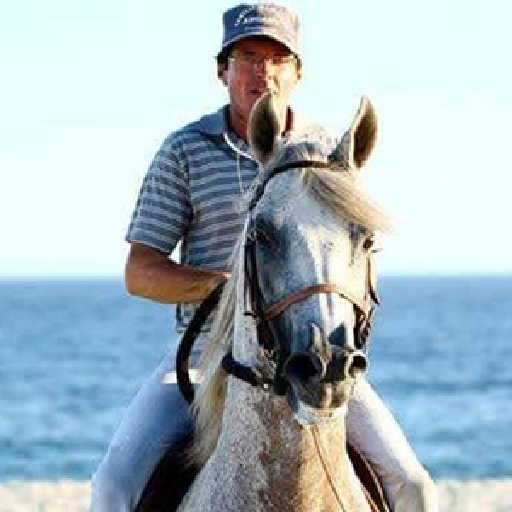Beto Meirelles